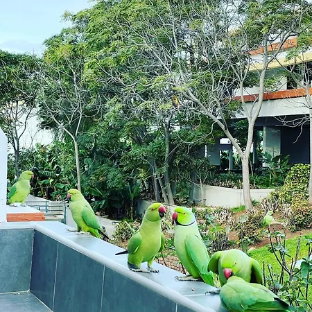Apartmán Good Vibes *